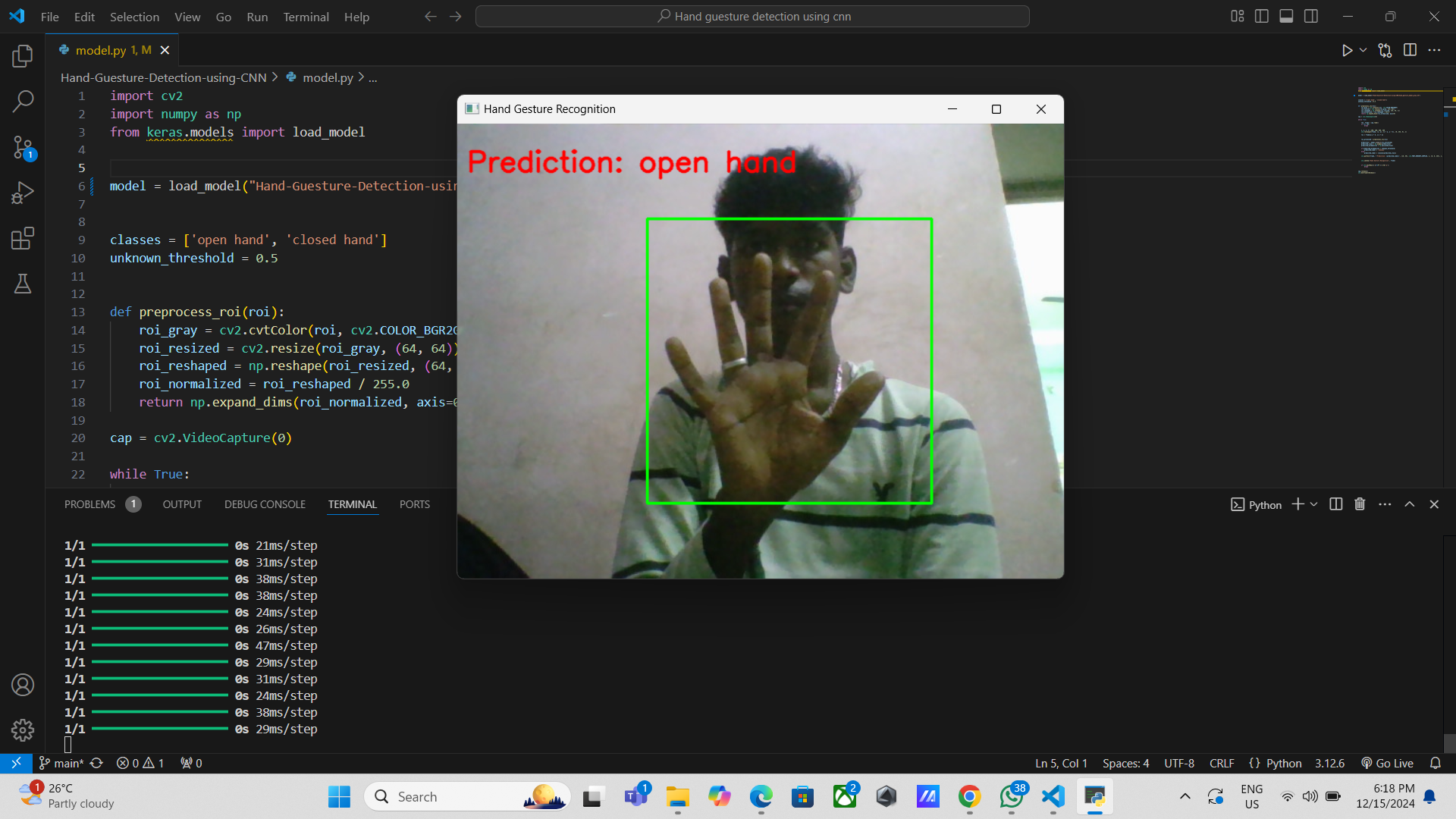 Real-Time Person Gender & Count Detection